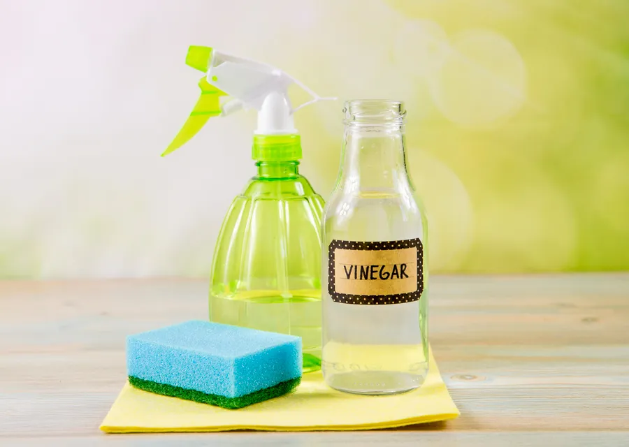 5 cách làm sạch ví da bị mốc hiệu quả và nhanh chóng ngay tại nhà