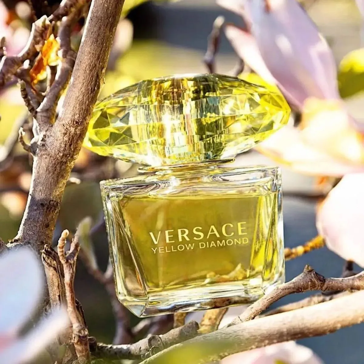 Top 10 nước hoa Versace nữ mùi nào thơm lâu được rất yêu thích