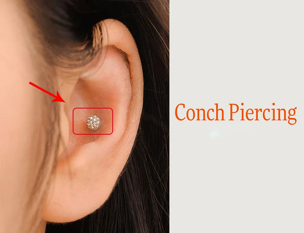 Xỏ Conch có đau không? Xỏ Conch bao lâu thì lành? - 1