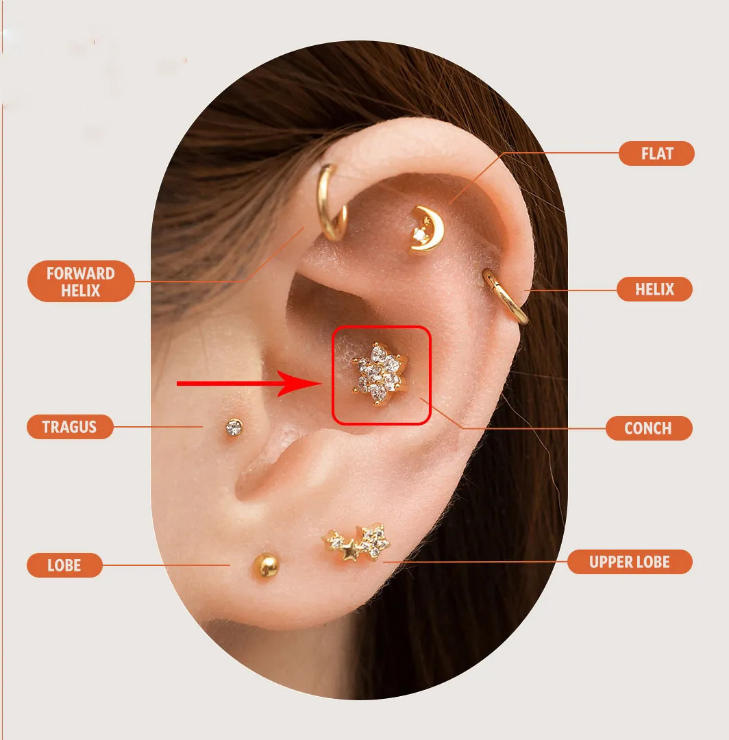 Xỏ Conch có đau không? Xỏ Conch bao lâu thì lành? - 2