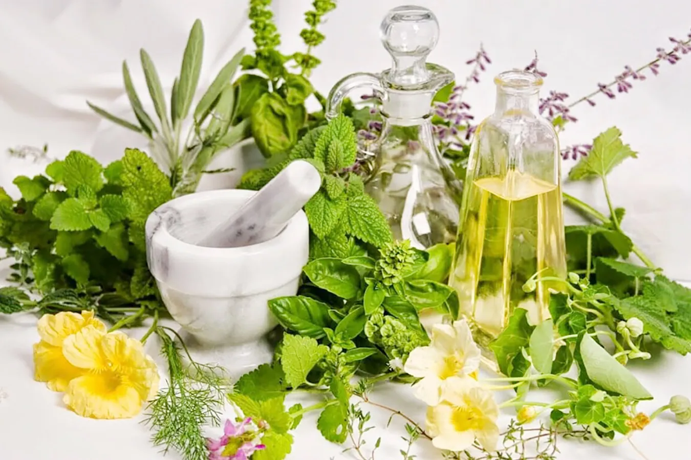 Mỹ Phẩm Thuần Chay Là Gì? Bí Quyết Làm Đẹp Thân Thiện Với Làn Da, Thân Thiện Với Môi Trường