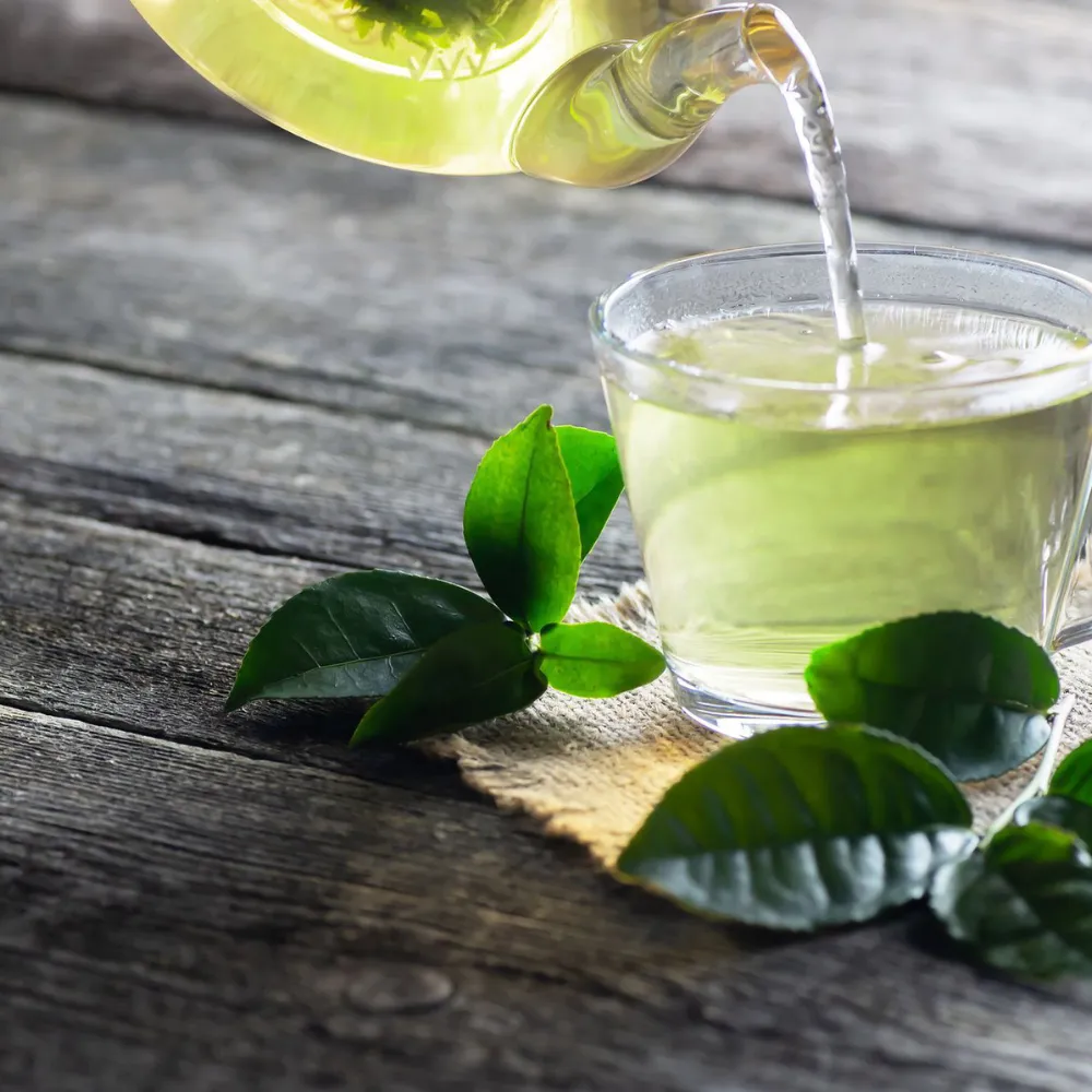 Lá trà xanh có tác dụng gì? Điều bạn không nên bỏ lỡ