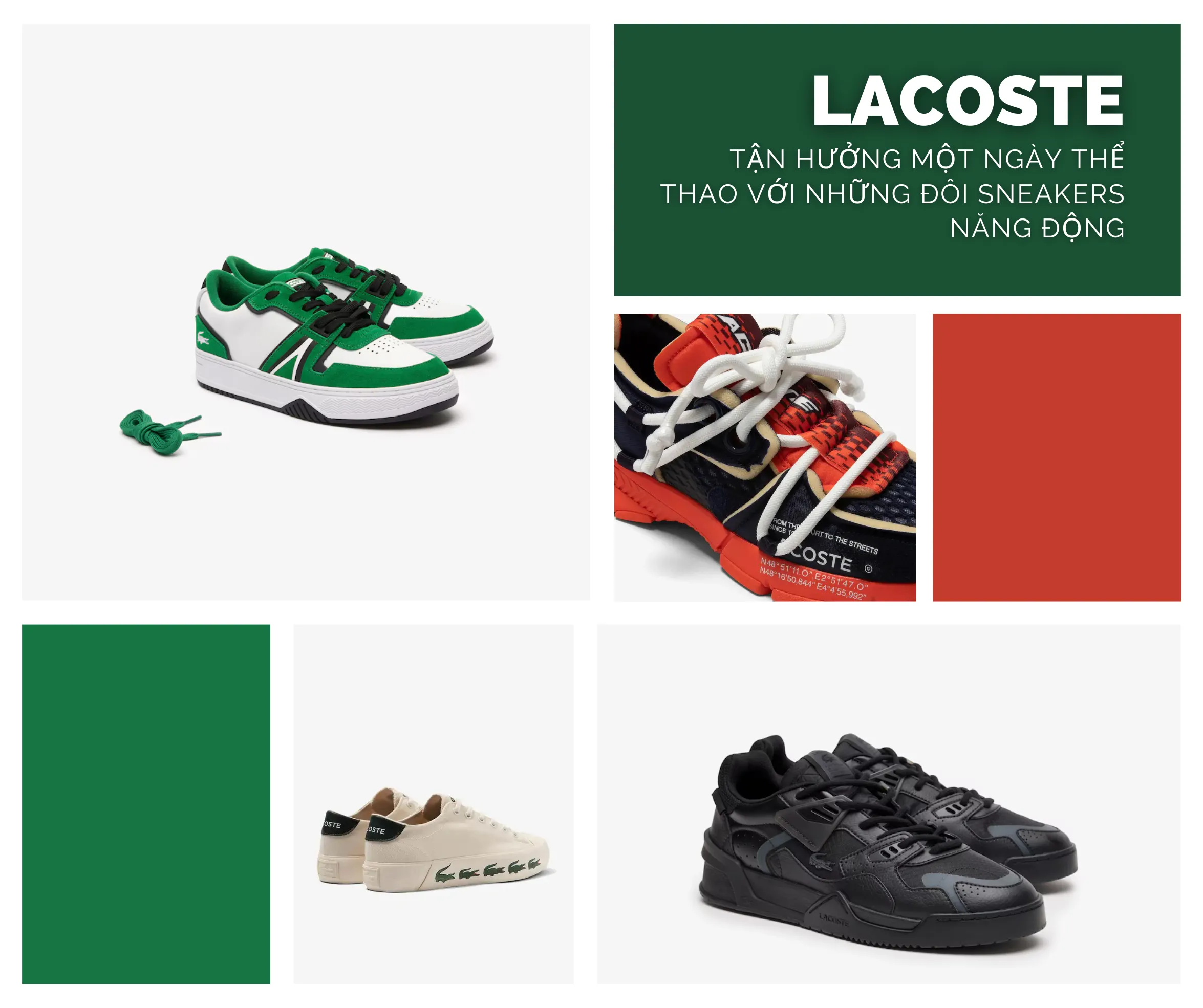 Thiết kế và kiểu dáng đa dạng của Sneaker Lacoste