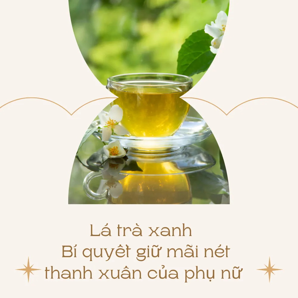 Lá trà xanh có tác dụng gì? Điều bạn không nên bỏ lỡ