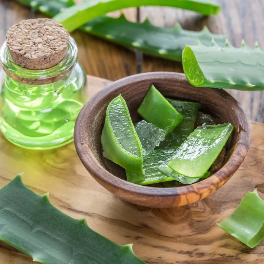 Cách làm đẹp bằng nha đam tại nhà hiệu quả, đơn giản - 1