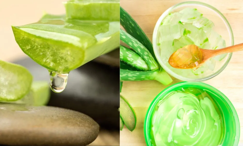 Cách làm đẹp bằng nha đam tại nhà hiệu quả, đơn giản - 5