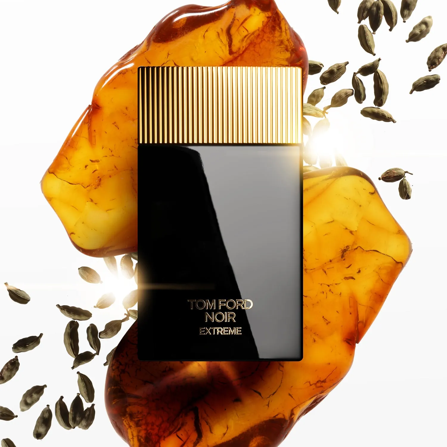 Nước hoa Tom Ford Noir Extreme