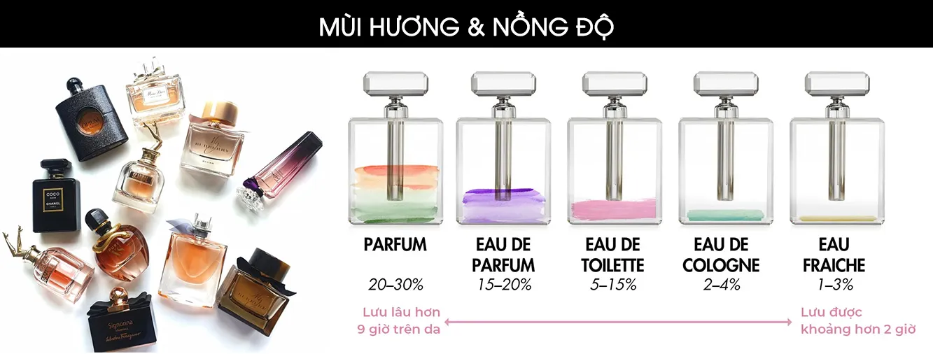 Phân loại nước hoa nữ theo mùi hương và nồng độ