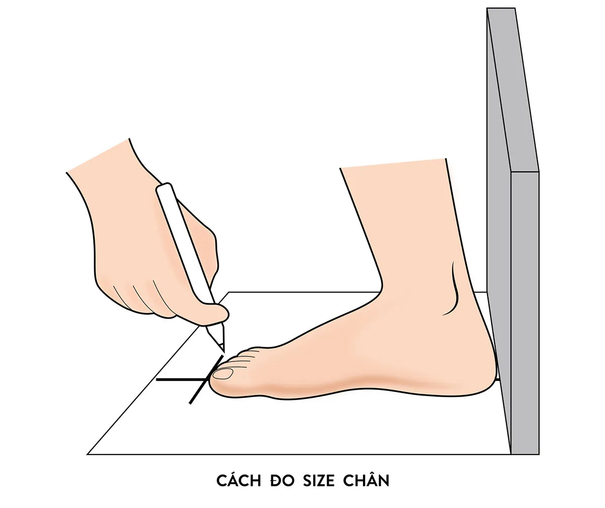 Bảng size giày Fila nam nữ và trẻ em uy tín (CẬP NHẬT 2025)