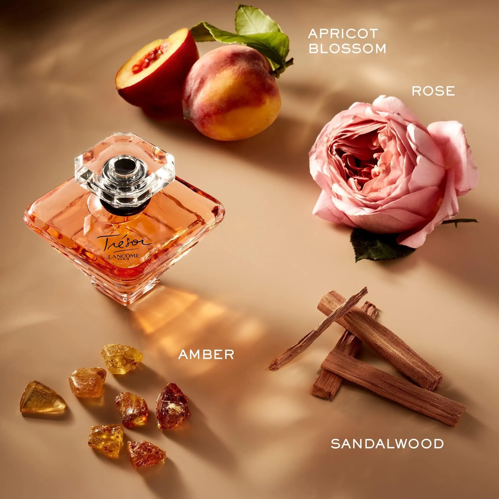 Nước hoa Lancôme Trésor Eau De Parfum mini
