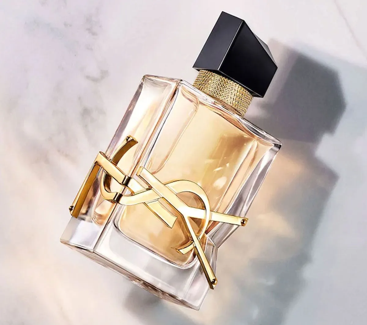 Top 15 Chai Nước Hoa Lưu Hương Lâu 6 - 12 Giờ Cho Nữ Được Yêu Thích