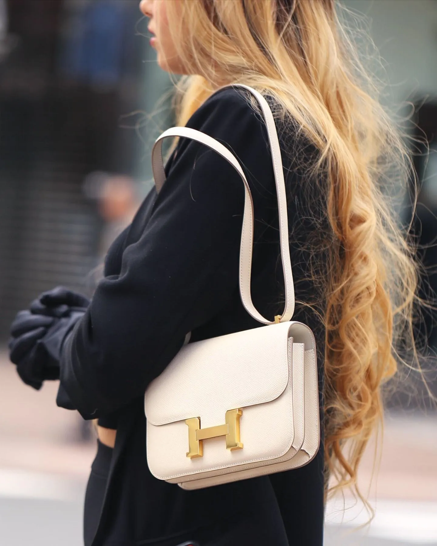Túi Hermès Constance Bag