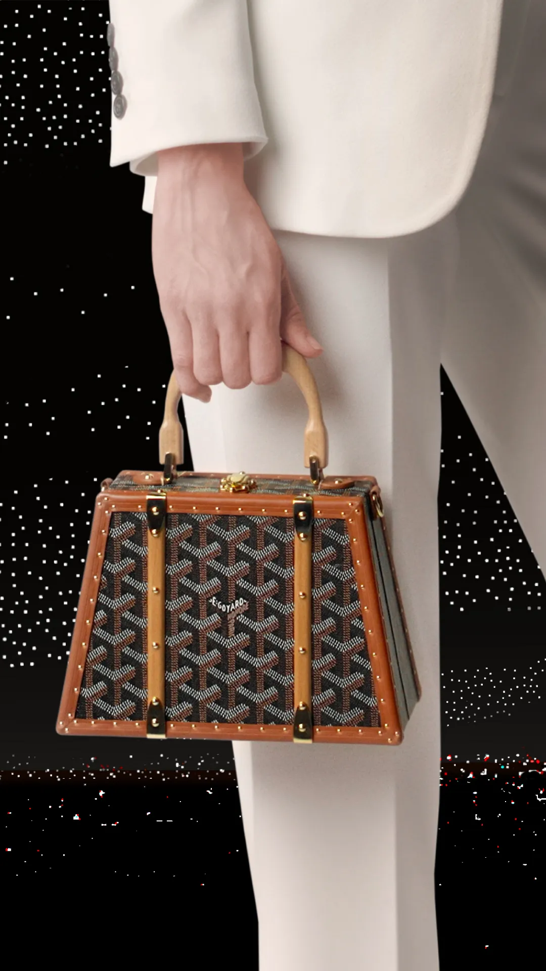 Đối Tượng Phù Hợp Sử Dụng Túi Xách Goyard