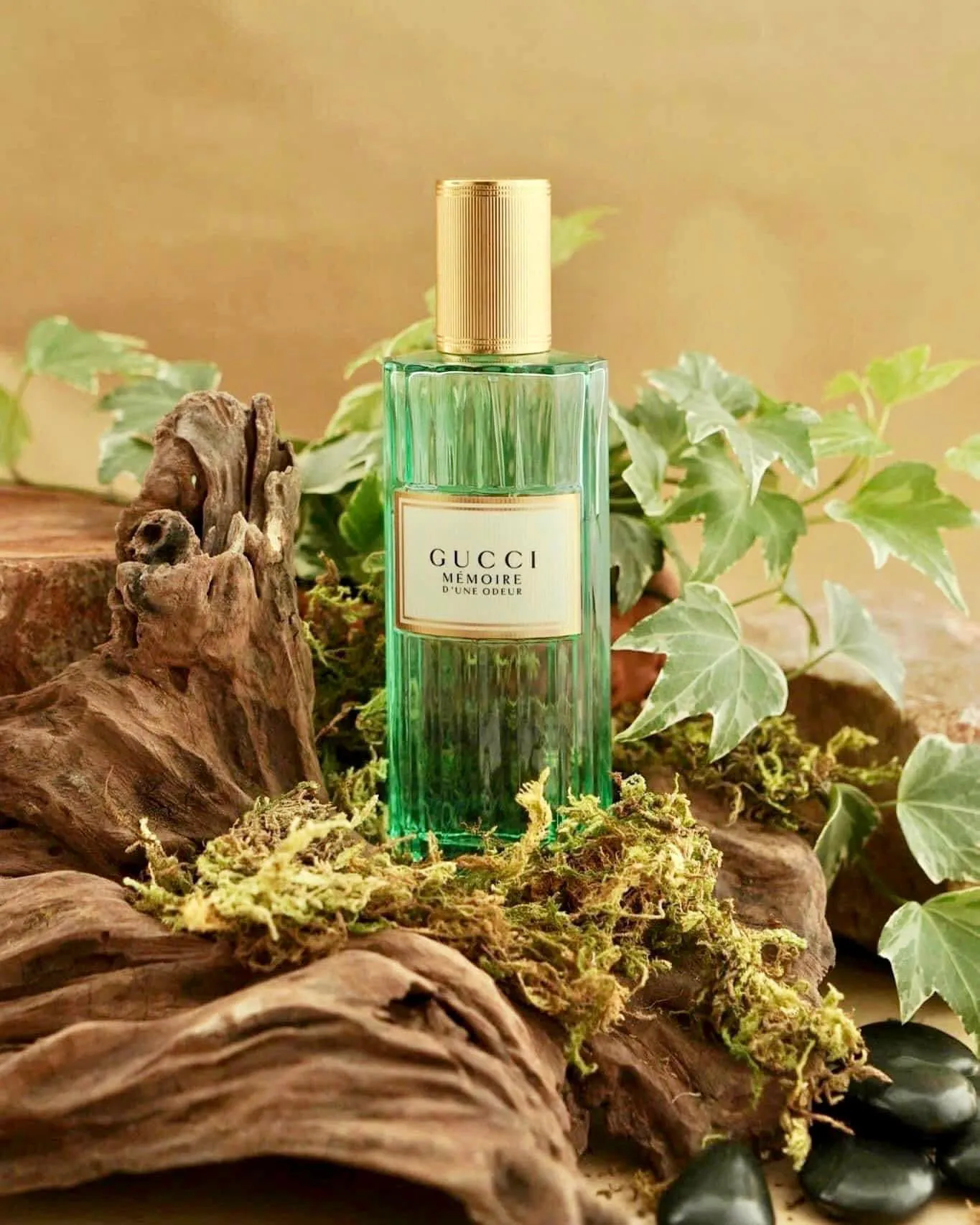 Nước hoa Gucci Memoire d'une Odeur