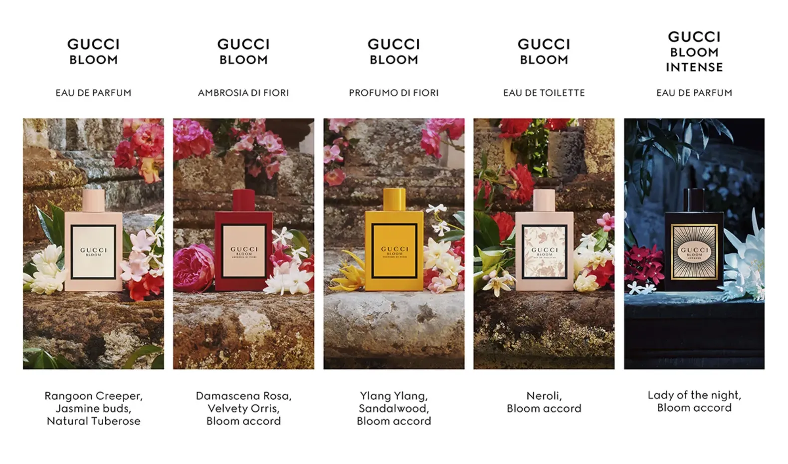 Sự Đa Dạng Trong Mùi Hương nước hoa Gucci