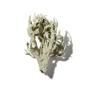 Danh mục nước hoa - 23