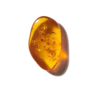 Danh mục nước hoa - 13