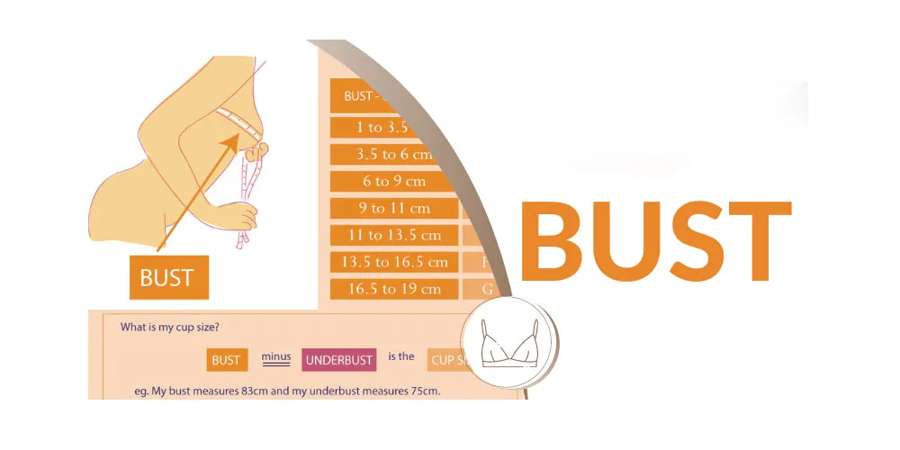 Bust là gì? Hướng dẫn cách đo áo ngực chuẩn xác, vừa người