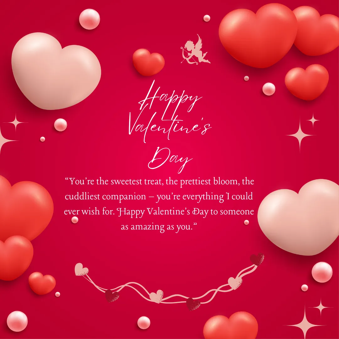 1001+ Caption, Status, Quote Valentine ngọt ngào dành tặng người thương