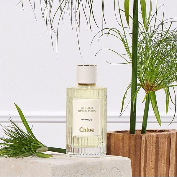 Nước Hoa Unisex Chloé Atelier Des Fleurs Papyrus EDP 150ml - Nước hoa - Vua Hàng Hiệu