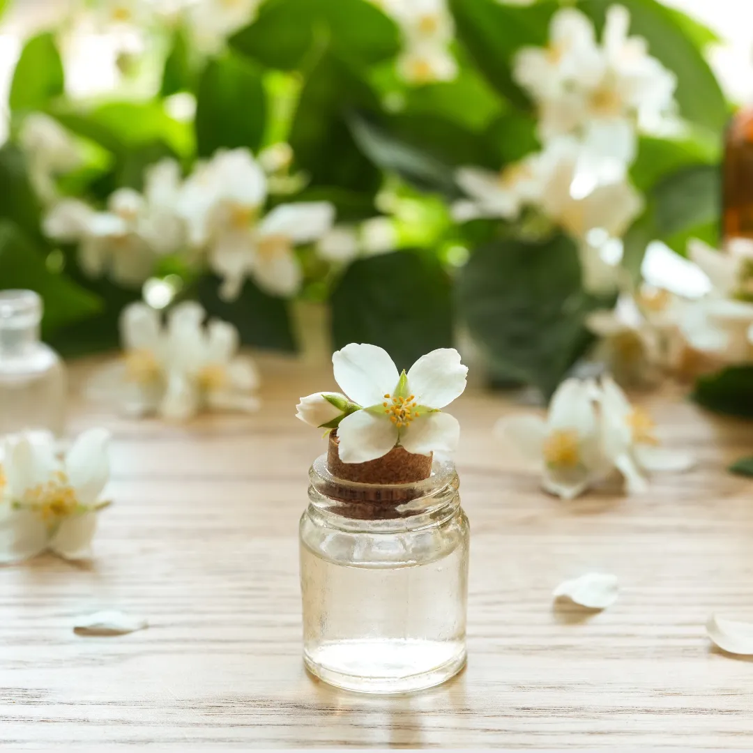 Top 10 chai nước hoa mùi nhài thơm nhẹ nhàng nữ tính