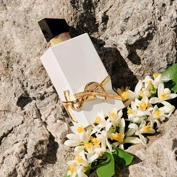 Nước Hoa Nữ Yves Saint Laurent YSL Libre L’Eau Nue Parfum De Peau 90ml - Nước hoa - Vua Hàng Hiệu