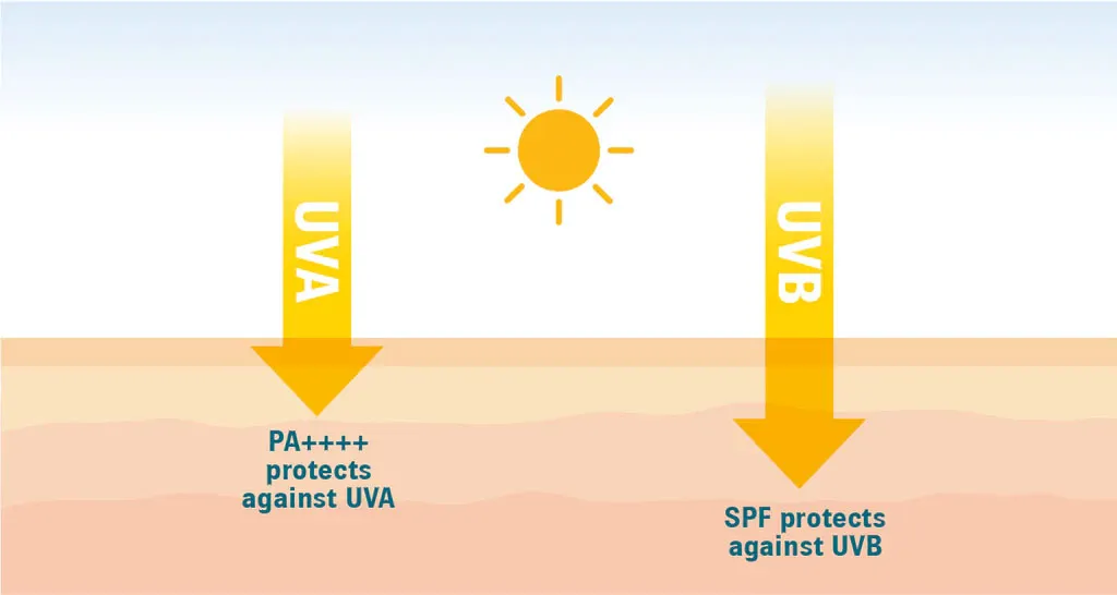 Chỉ số SPF và PA trong kem chống nắng là gì? Tìm hiểu chi tiết