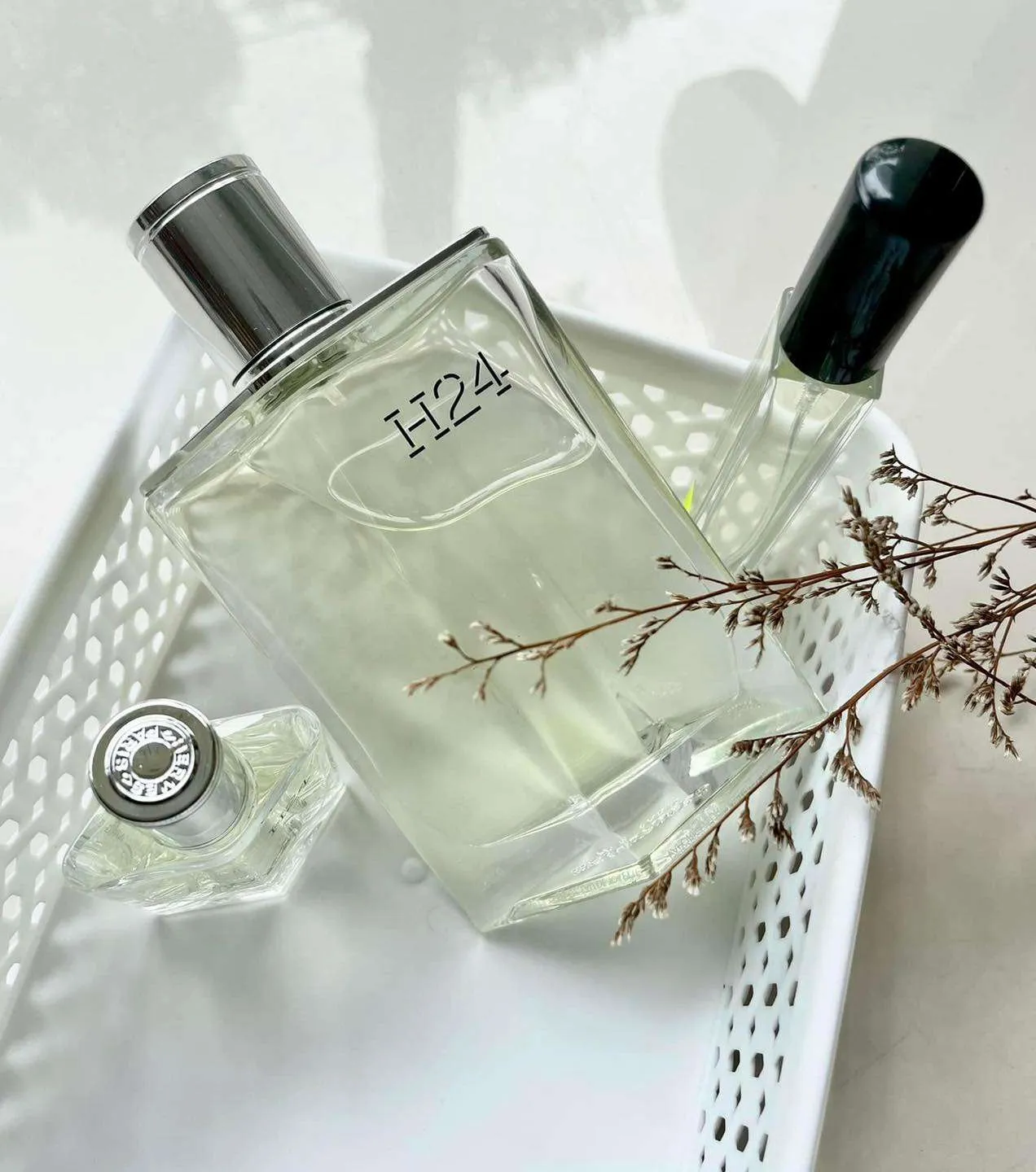 10 Chai Nước Hoa Hương Gỗ Cuốn Hút Được Yêu Thích Cho Cả Nam & Nữ