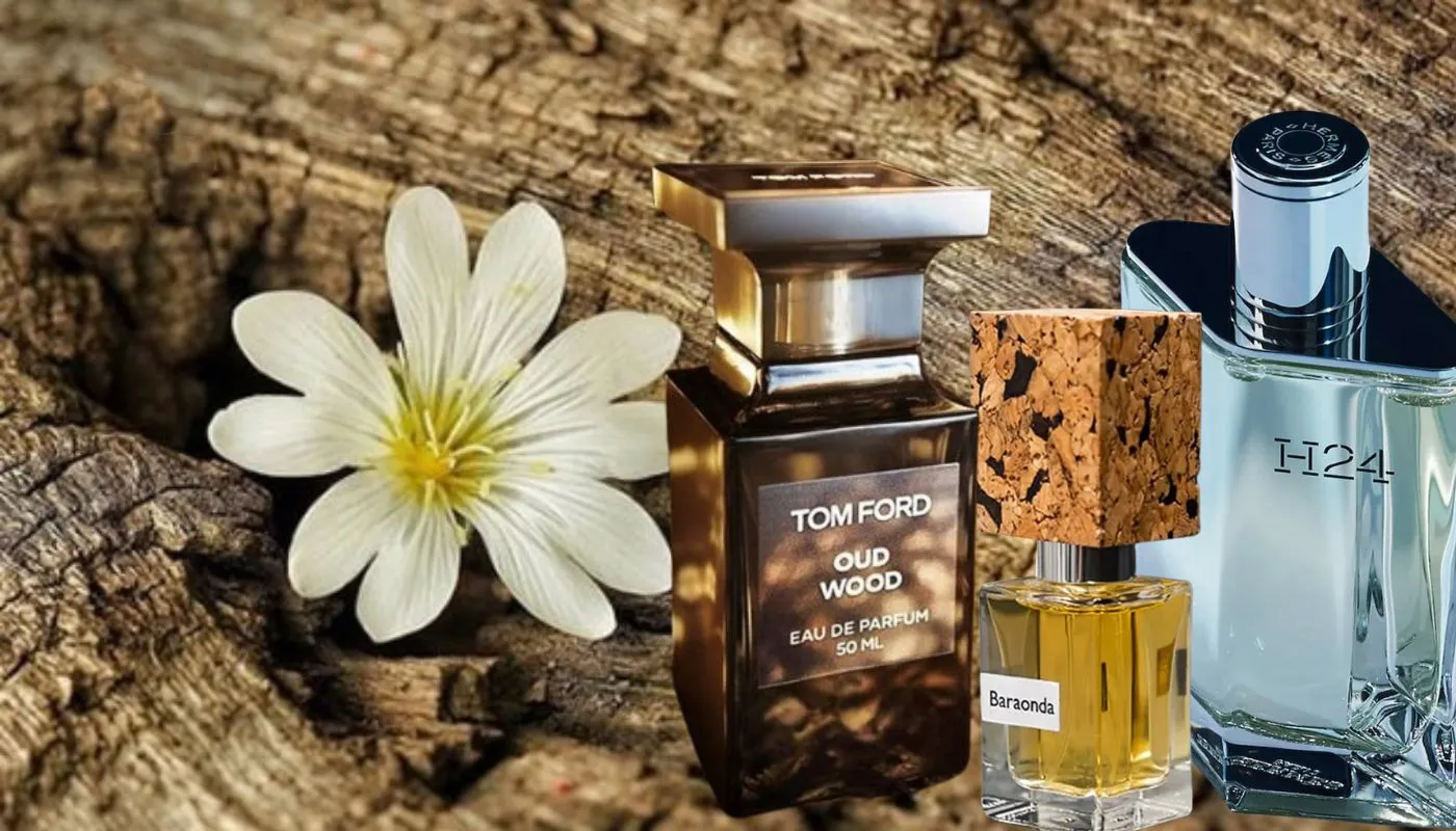 Nhóm Hương Gỗ (Woody) – Trầm Lắng Và Nam Tính