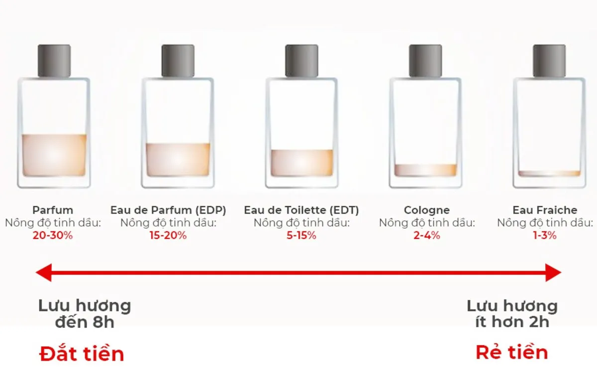 Nồng Độ Nước Hoa EDP EDT EDC Là Gì? So Sánh Và Gợi Ý Cho Bạn