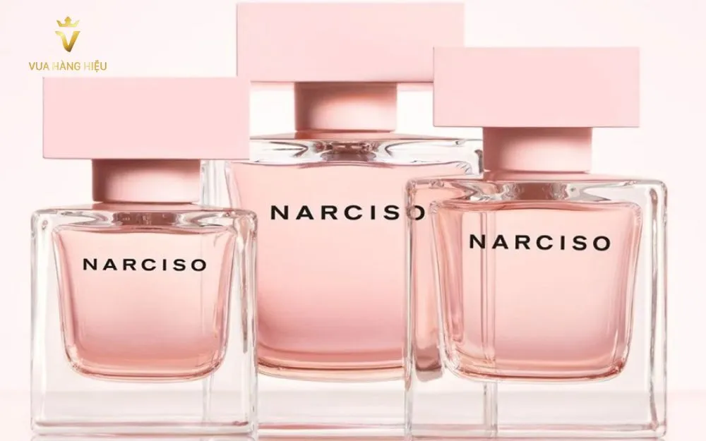 Review 5 Nước Hoa Narciso Hồng Mùi Nào Rất Thơm Cho Phái Nữ