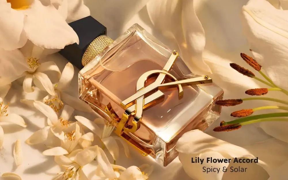 Parisian Chic Perfume: Top 10 Nước Hoa Mà Quý Cô Pháp Yêu Thích