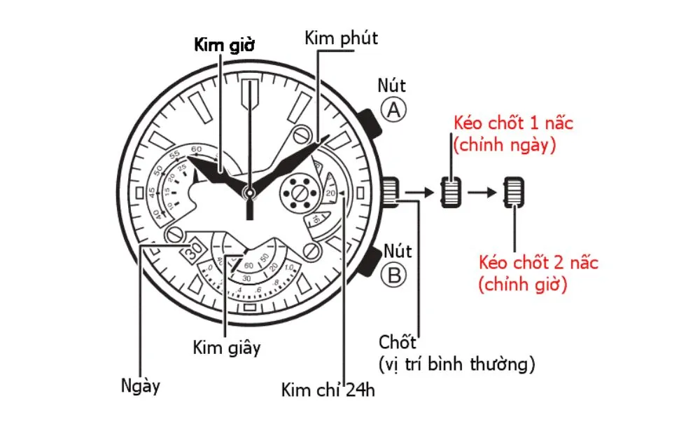 {Tips} Cách Chỉnh Đồng Hồ Casio Edifice 3 Nút, 4, 5 Nút Dễ Dàng