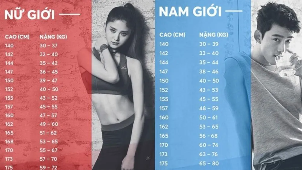 Form Áo Là Gì? Tổng Hợp Các Loại Form Áo Phổ Biến Hiện Nay