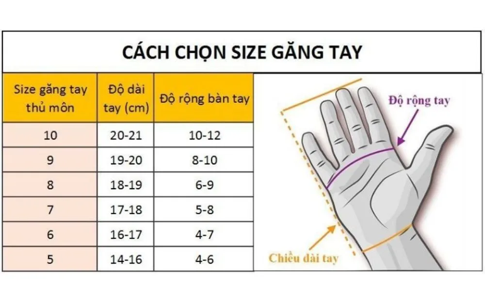 Cách Chọn Găng Tay Thủ Môn Sân Cỏ Nhân Tạo, Gợi Ý 5 Loại Cực Tốt