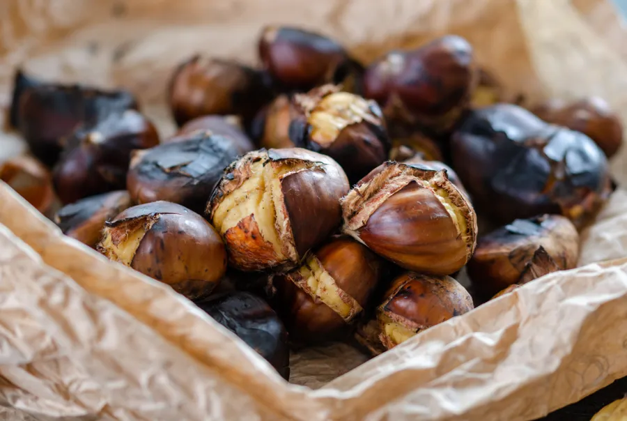 Đặc Trưng Mùi Hương Hạt Dẻ