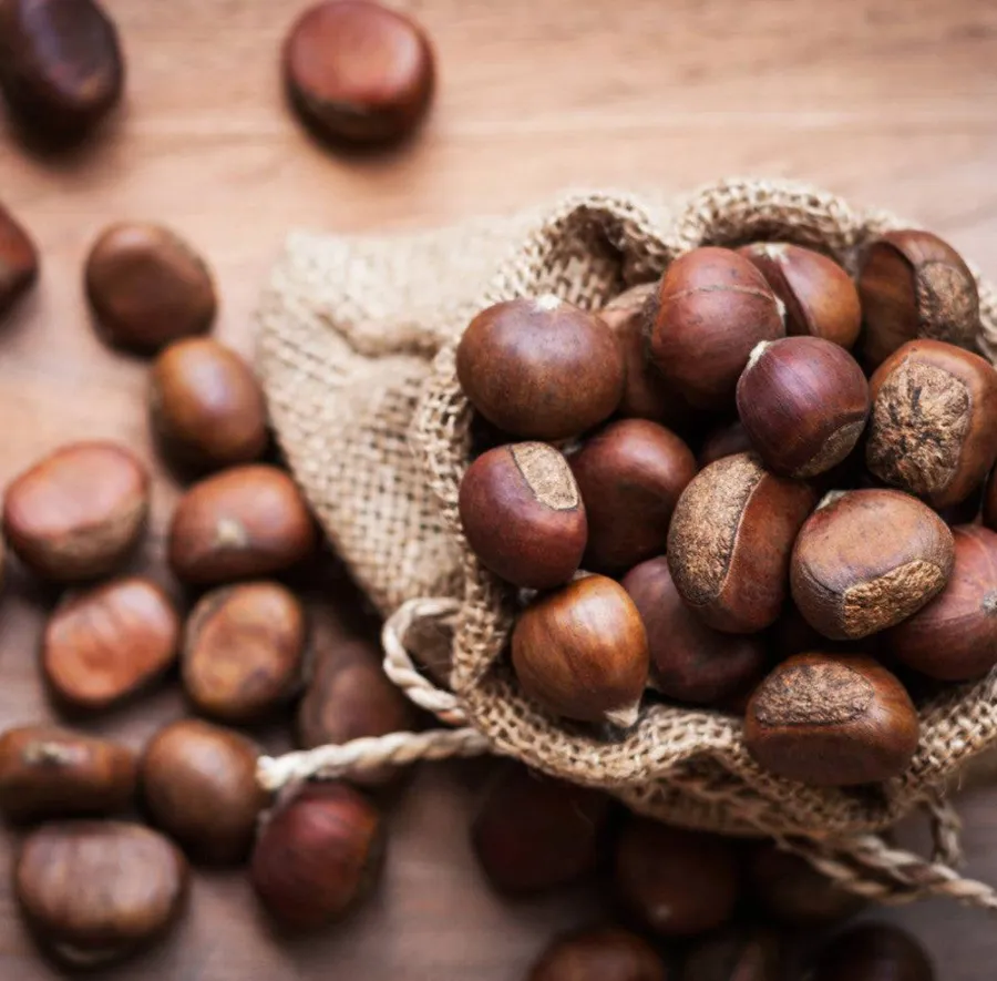 Các Nốt Hương Điển Hình Của Hạt Dẻ