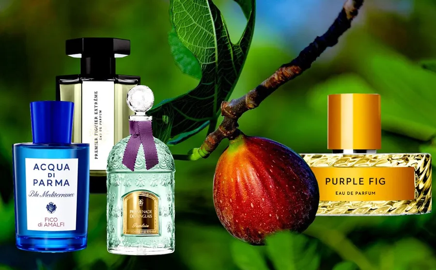 Top 11+ chai nước hoa mùi trái sung tươi mát và tự nhiên
