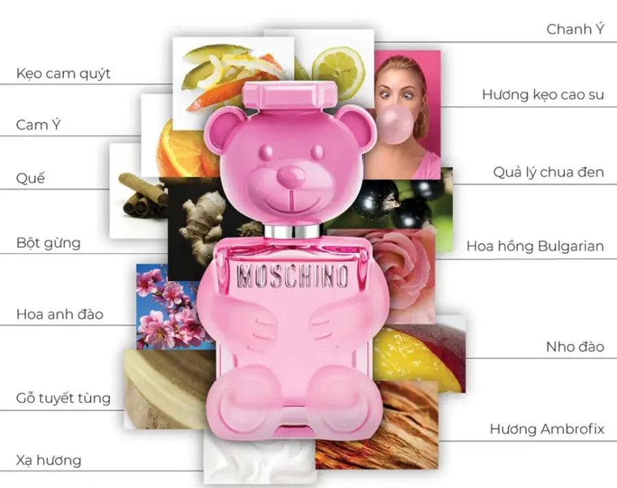 Top 10+ Nước Hoa Mùi Việt Quất Tươi Mát Và Trẻ Trung