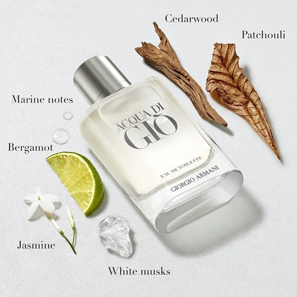 Nước Hoa Nam Giorgio Armani Acqua Di Giò EDT 50ml - Nước hoa - Vua Hàng Hiệu