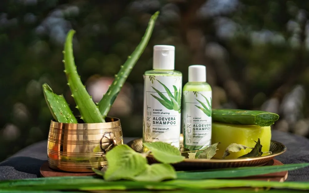 Top 10 Sữa Tắm Mùi Kẹo Ngọt Thơm Lâu, Dưỡng Da Năm 2025 - 12