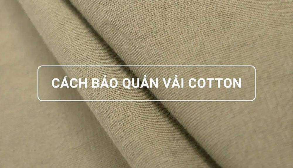 Vải Cotton Là Gì? Phân Biệt Các Loại Vải Cotton Phổ Biến Hiện Nay