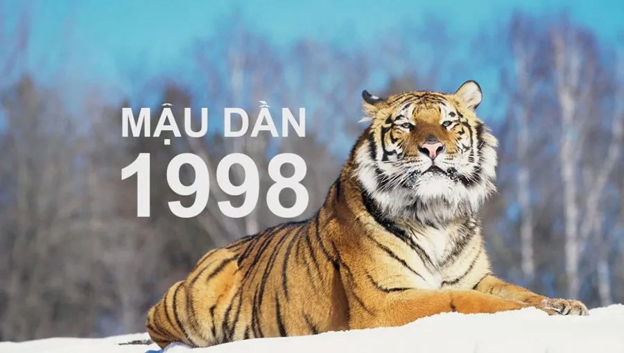 Mậu Dần 1998 hợp màu gì, hướng nào, con số nào? Tra cứu phong thủy chi tiết