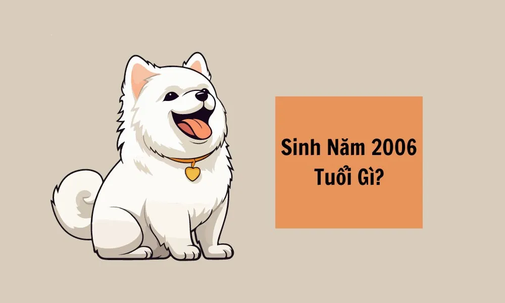 2006 Mệnh Gì? Hợp Màu Gì? Tìm Hiểu Cung Mệnh Tuổi Bính Tuất
