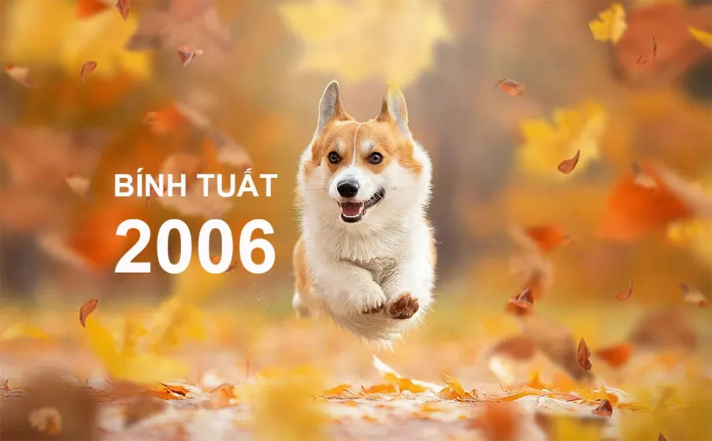 2006 Mệnh Gì? Hợp Màu Gì? Tìm Hiểu Cung Mệnh Tuổi Bính Tuất