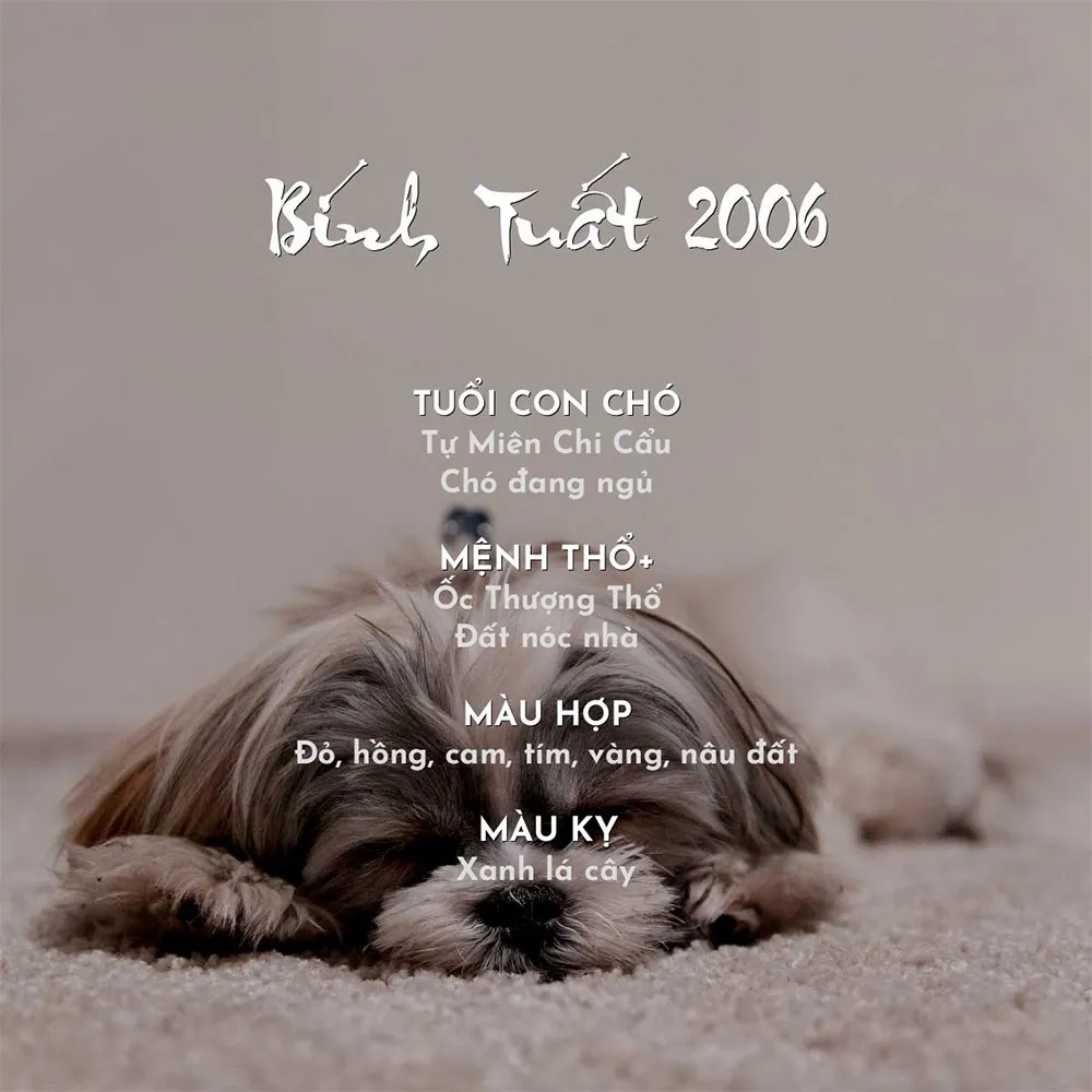 2006 Mệnh Gì? Hợp Màu Gì? Tìm Hiểu Cung Mệnh Tuổi Bính Tuất