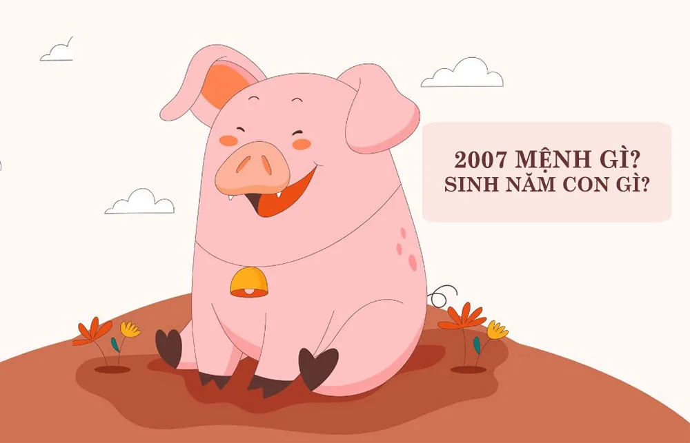 Sinh Năm 2007 Mệnh Gì? Hợp Màu Gì? Thuộc Cung Mệnh Nào?