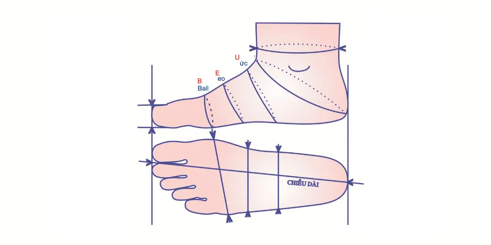 Bảng Size Giày Tây Nam Và Cách Đo Giày Cực Chuẩn