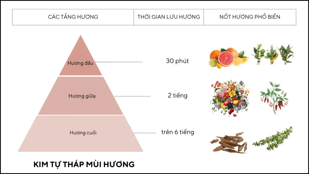 5 Cách Layer Nước Hoa 