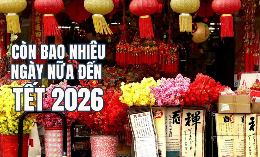 Còn bao nhiêu ngày nữa đến Tết Bính Ngọ 2026? Đếm ngược ngày đến Tết